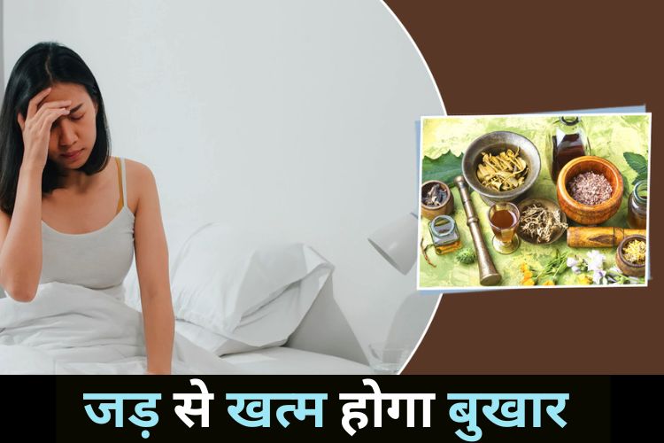 बुखार के दौरान घटे हुए प्लेटलेट्स को बढ़ाएं, अपनाइए ये आयुर्वेदिक तरीके